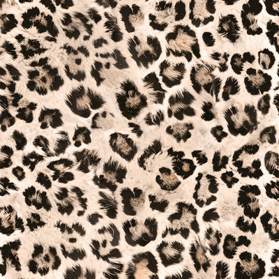 CATWALK | Leopard