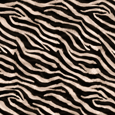 NOCTURNE | Zebra