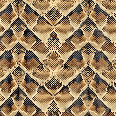 SERPENT RISE | Snake