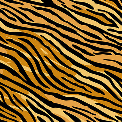 TIGRIS | Tiger